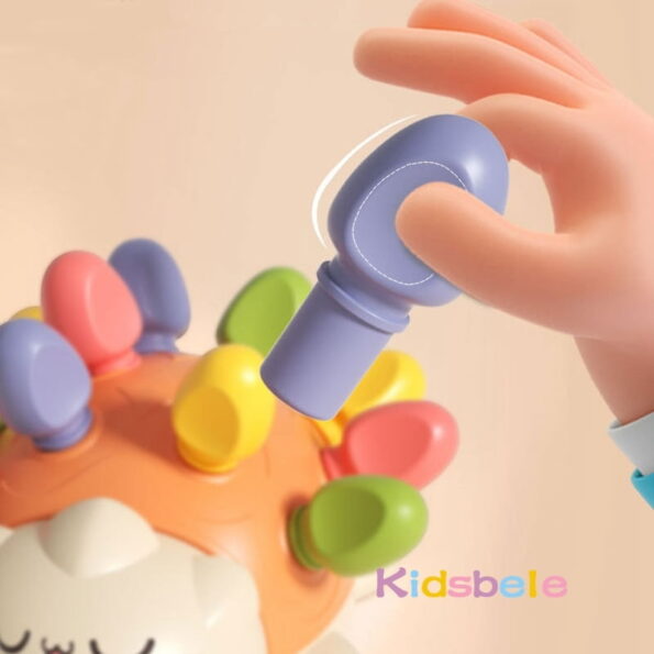 Educational Baby Toy