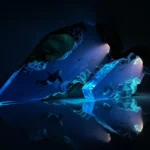 Seabed-World-Organism-Resin-Table-Light-Creactive-Art-Decoration-Lamp-Killer-Whale-Seabed-Theme-Night-Light